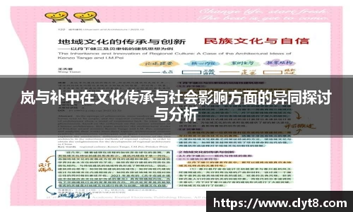 岚与补中在文化传承与社会影响方面的异同探讨与分析